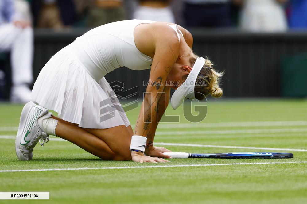 Tennis: Wimbledon championships