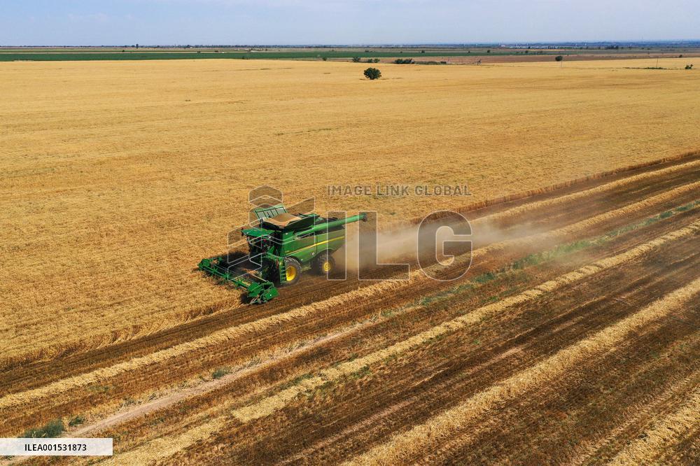 CHINA-XINJIANG-SUMMER HARVEST(CN)