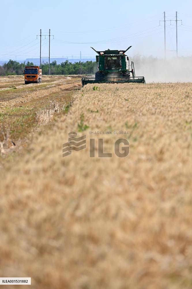 CHINA-XINJIANG-SUMMER HARVEST(CN)