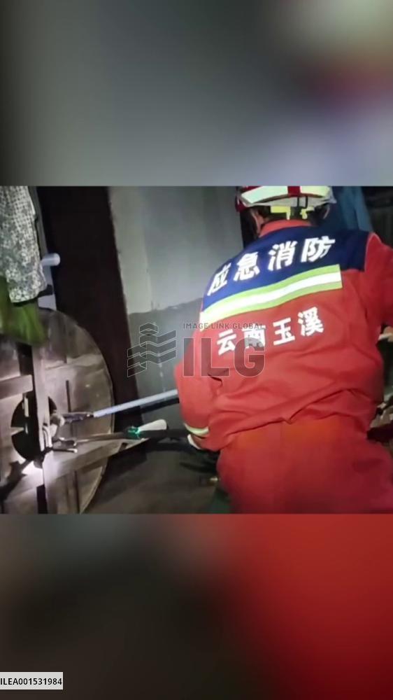 Firefighters remove 3-meter-long king cobra in China's Yunnan