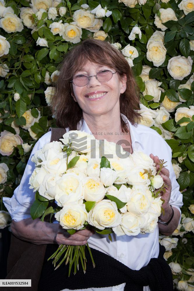 Amnesty International Rose by G Delbard - Paris