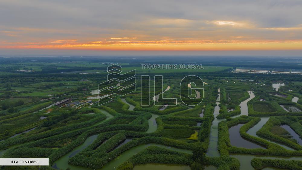 Winding Reeds Maze at Hongze Lake Wetland Park in Suqian