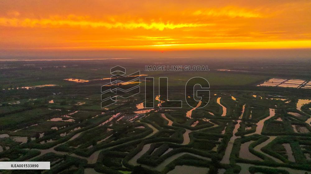 Winding Reeds Maze at Hongze Lake Wetland Park in Suqian
