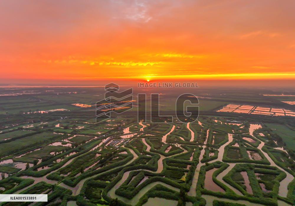 Winding Reeds Maze at Hongze Lake Wetland Park in Suqian