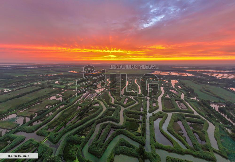 Winding Reeds Maze at Hongze Lake Wetland Park in Suqian