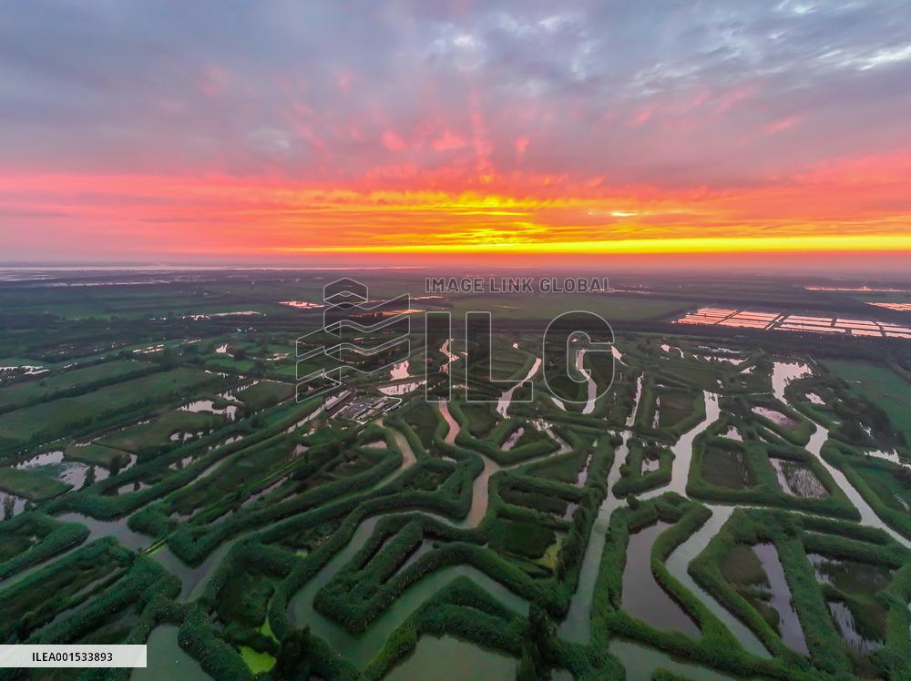 Winding Reeds Maze at Hongze Lake Wetland Park in Suqian