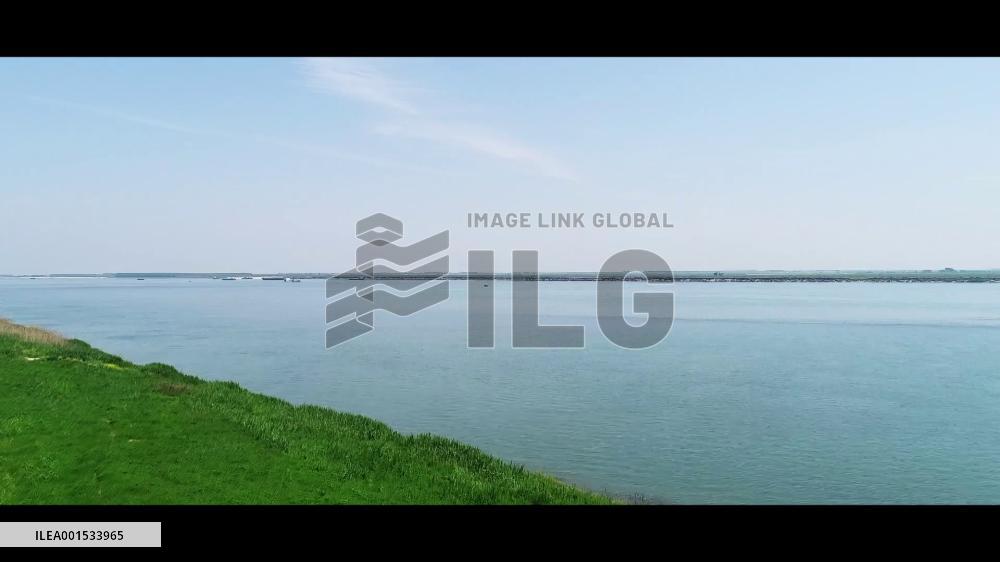 Exploring Eco-China | Guardians of Yangtze Finless Porpoises