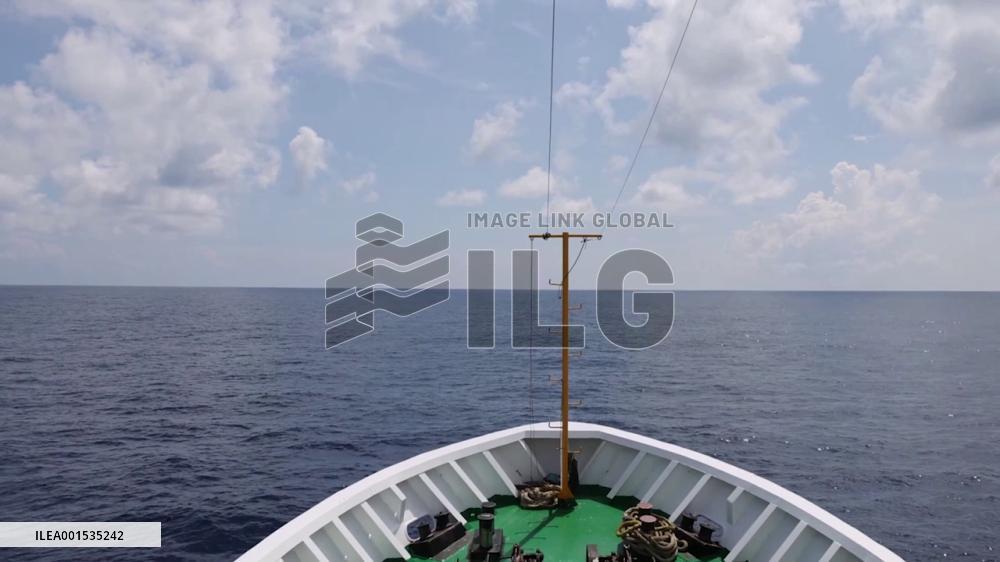 15 cetacean species recorded during survey in South China Sea