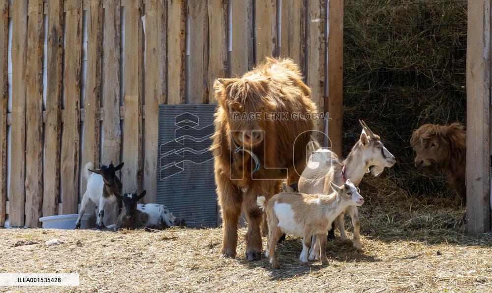The Open Farm Day