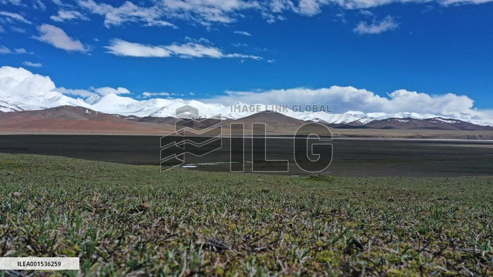 (SKYEYE)CHINA-XINJIANG-ALTUN MOUNTAINS-NATURE RESERVE (CN)