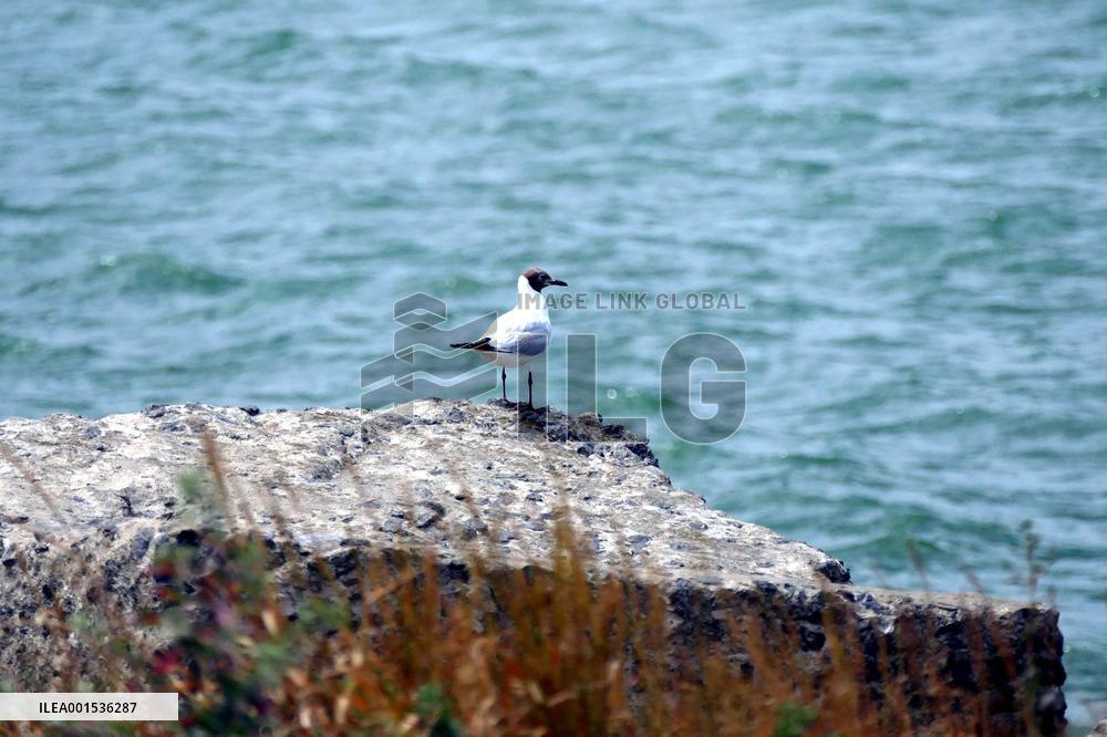 Khadzhibey estuary on Black Sea coast