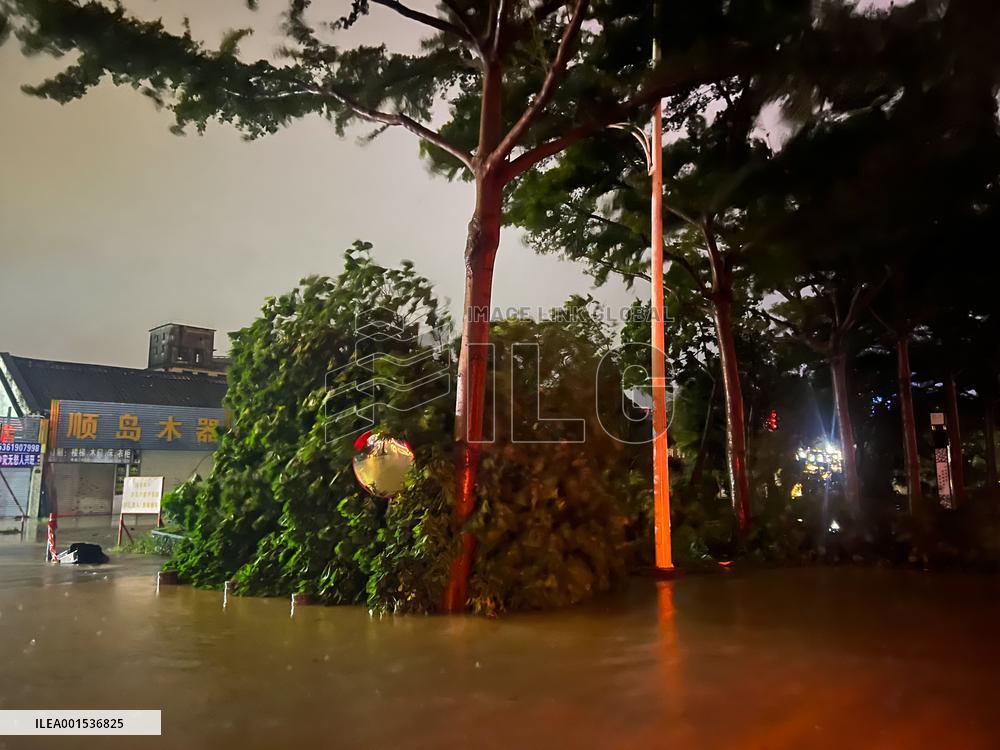 CHINA-GUANGDONG-ZHANJIANG-TYPHOON TALIM-LANDING (CN)