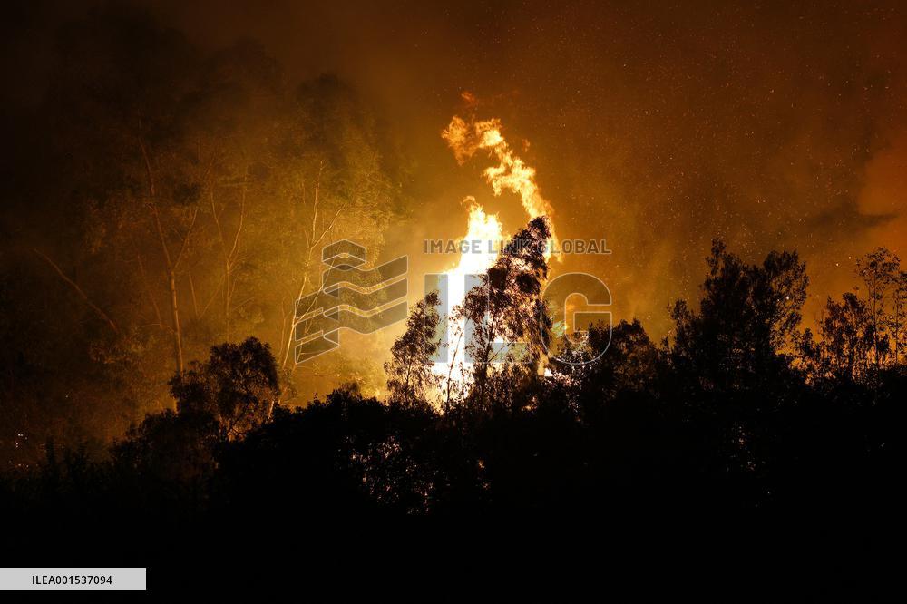 Monte Bonifato Fire - Alcamo
