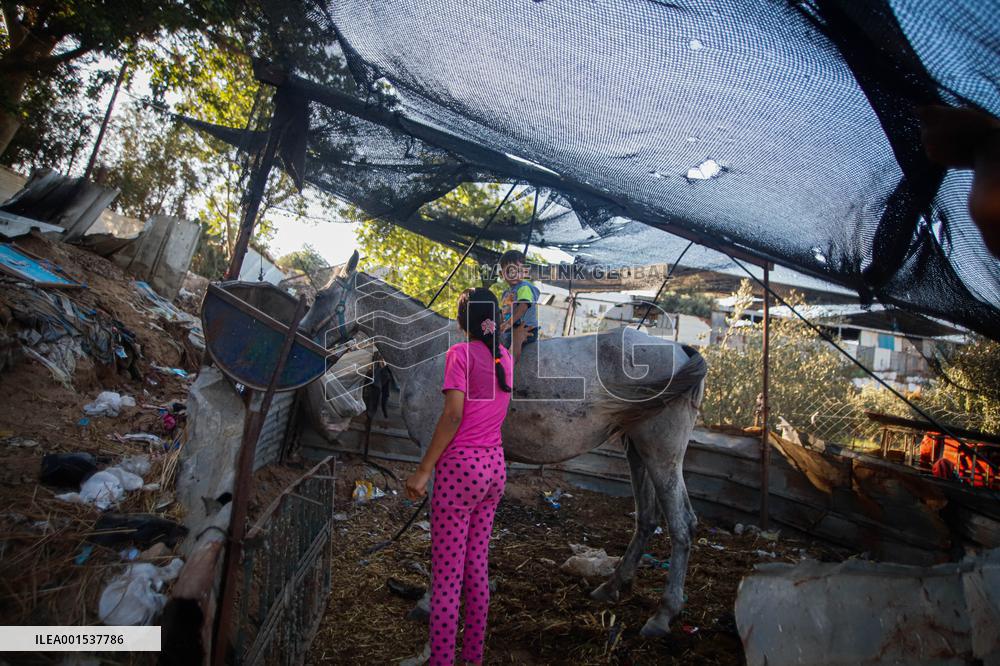 Heatwave And Power Shortages Hit Gaza