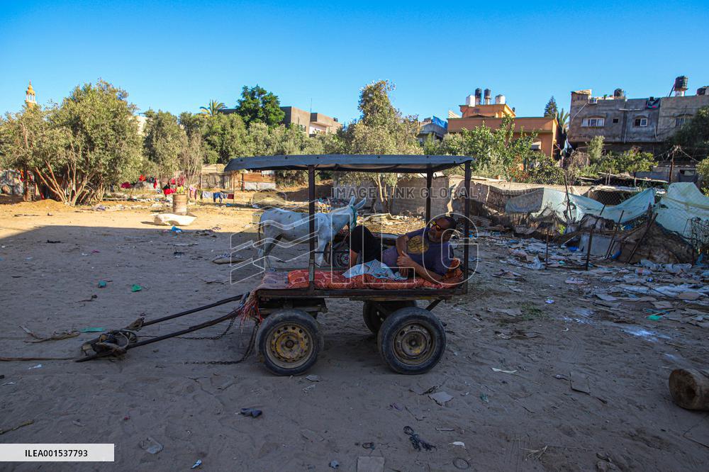 Heatwave And Power Shortages Hit Gaza