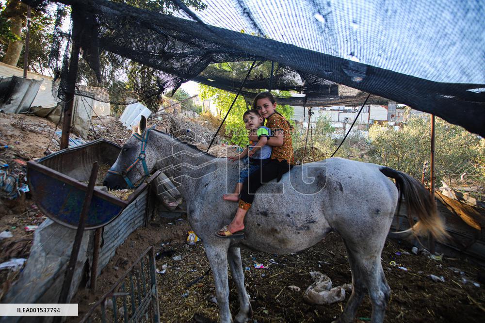Heatwave And Power Shortages Hit Gaza
