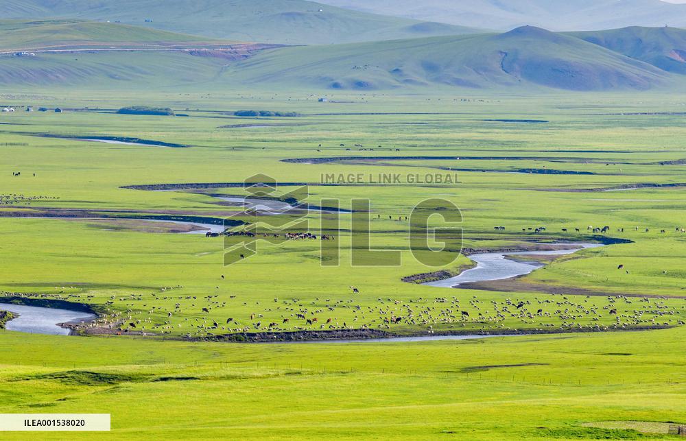 CHINA-INNER MONGOLIA-MERGEL GOL RIVER-SCENERY (CN)