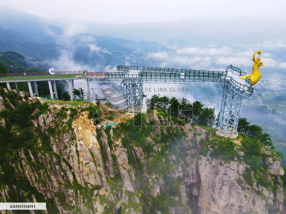 Phoenix Love Glass Viewing Platform