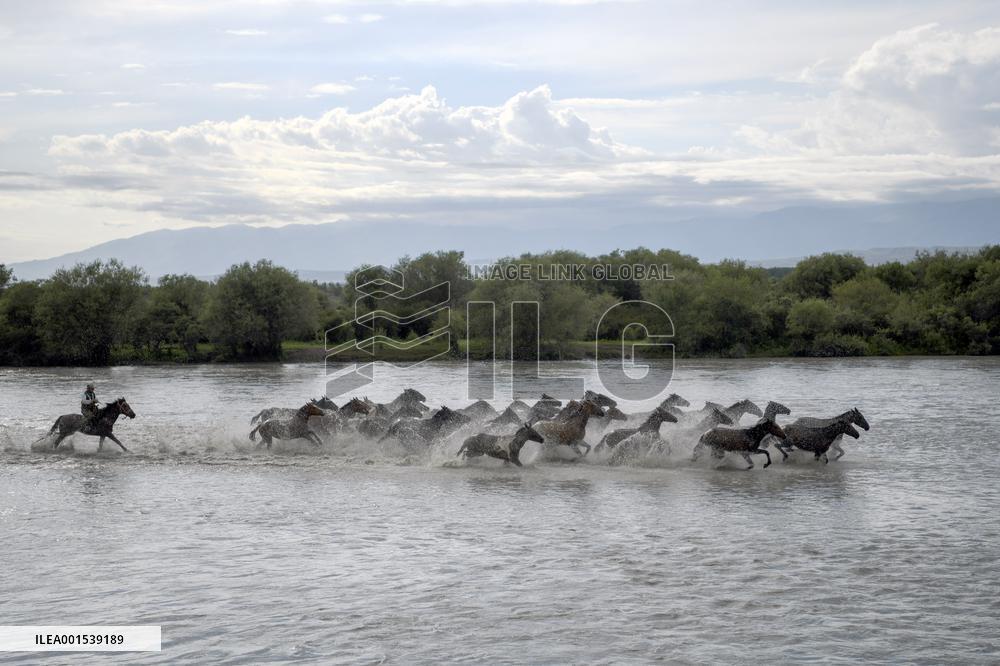 CHINA-XINJIANG-ZHAOSU-SUMMER-TOURISM (CN)