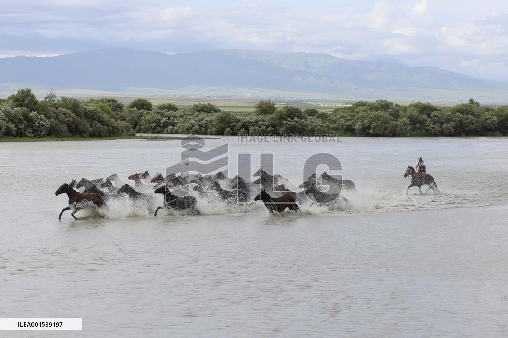 CHINA-XINJIANG-ZHAOSU-SUMMER-TOURISM (CN)