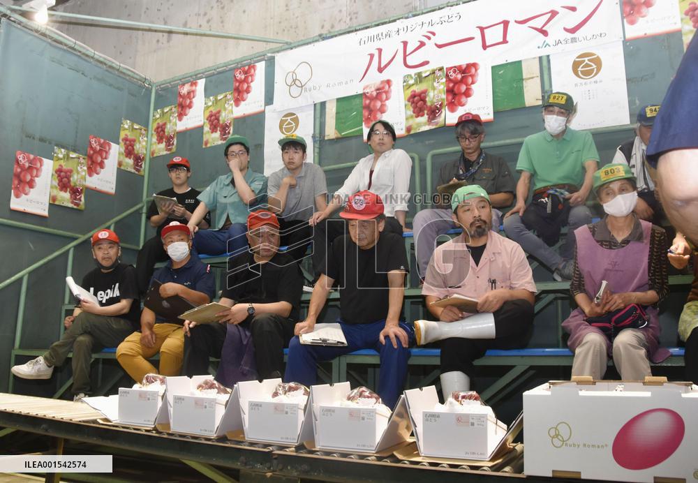 Premium grapes from central Japan
