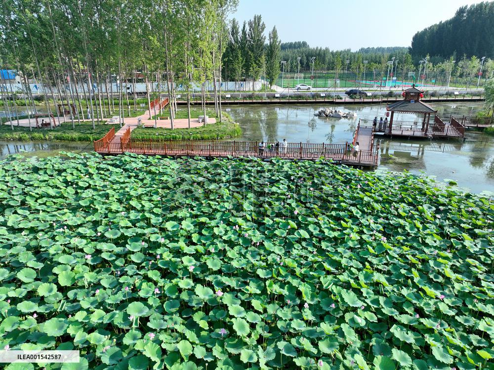 CHINA-HEBEI-TANGSHAN-RURAL DEVELOPMENT (CN)