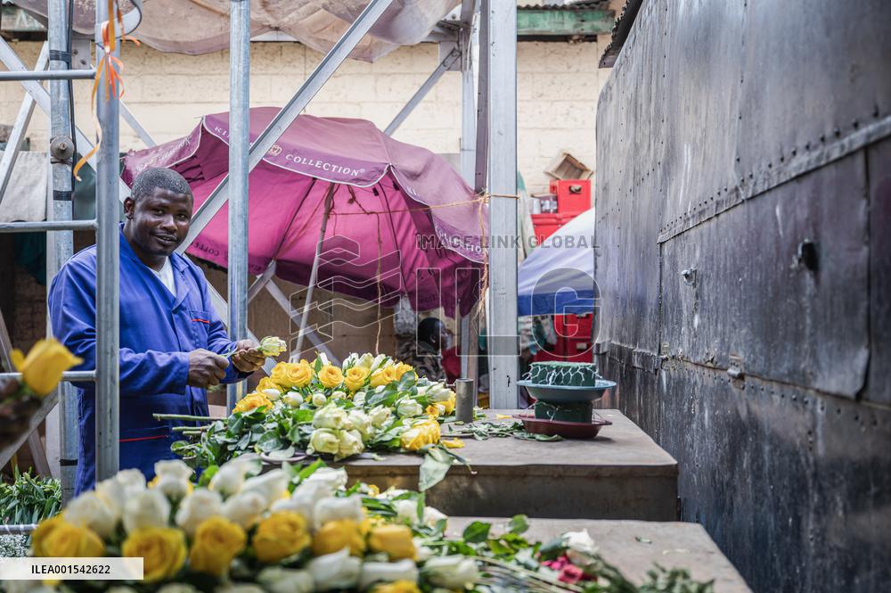 CHINA-AFRICA-CROSS BORDER TRADE-FLOWER