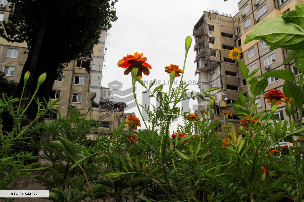 Flowers planted outside residential building bombed by Russians and murals created on walls of surviving blocks In Dnipro