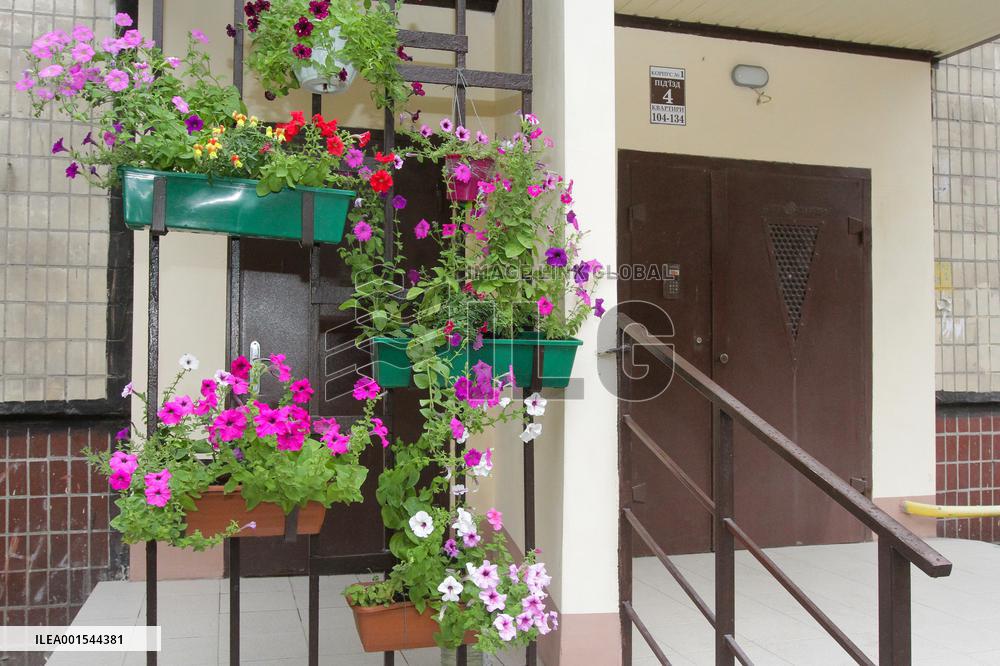 Flowers planted outside residential building bombed by Russians and murals created on walls of surviving blocks In Dnipro