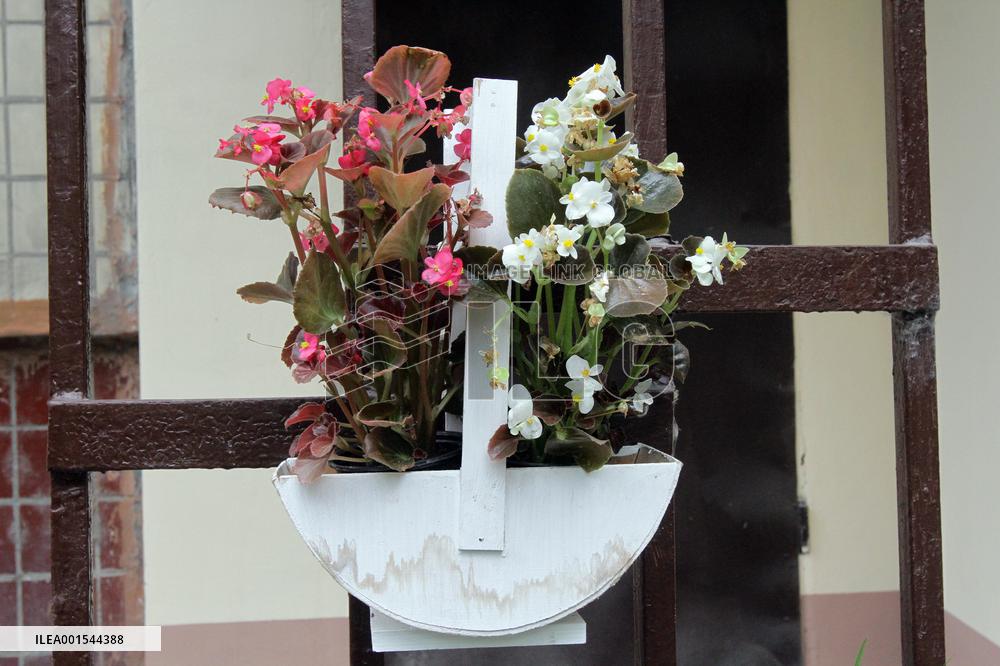 Flowers planted outside residential building bombed by Russians and murals created on walls of surviving blocks In Dnipro
