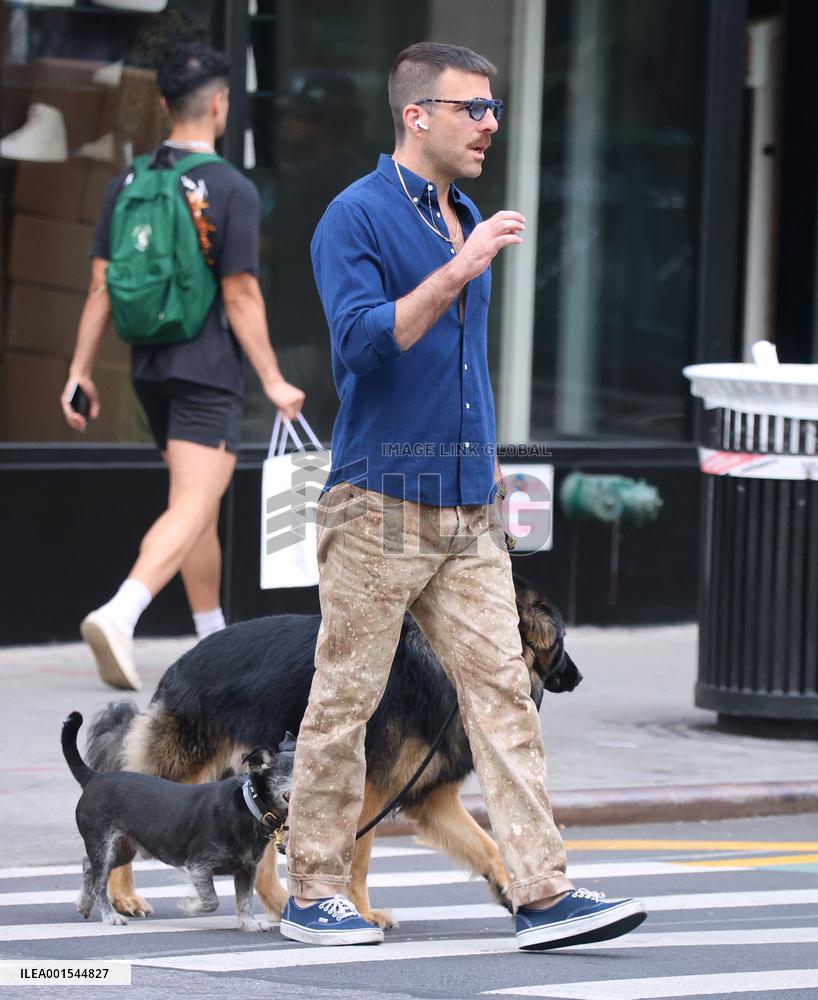 Zachary Quinto Out With His Dogs - NYC
