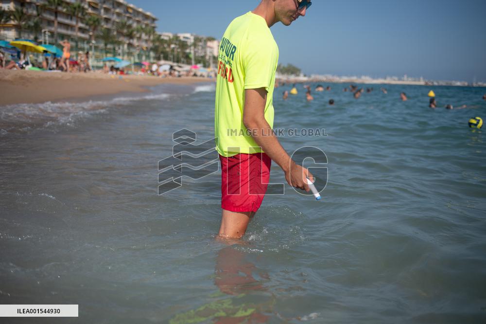 Abnormally High Temperatures In The Mediterranean Sea - Cannes