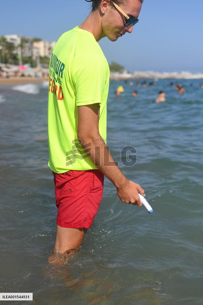 Abnormally High Temperatures In The Mediterranean Sea - Cannes
