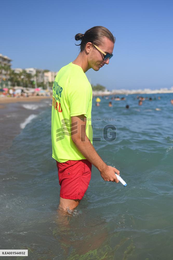 Abnormally High Temperatures In The Mediterranean Sea - Cannes