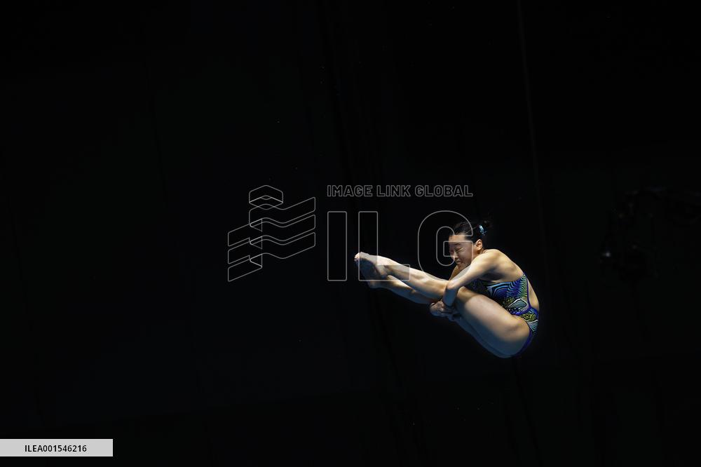 World aquatics championships