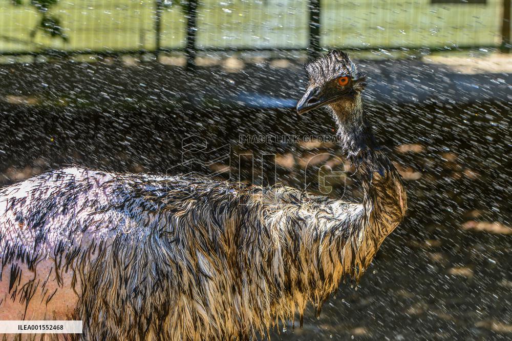 ISRAEL-YIRON-PETTING ZOO-HEATWAVE
