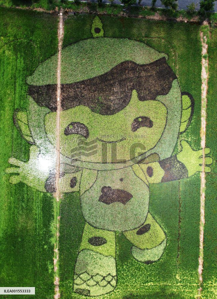 Hangzhou Asian Games Mascot Appears in A Rice Field in Hanghzou, China