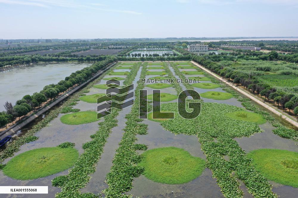 CHINA-HUNAN-DONGTING LAKE-RESEARCHERS (CN)