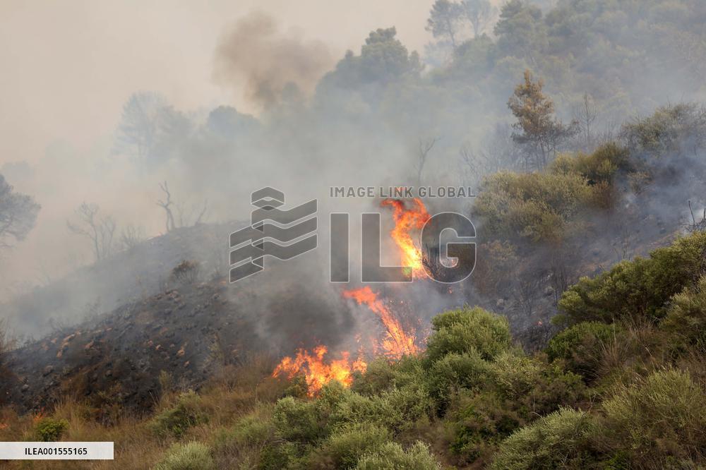 ALGERIA-BOUIRA-WILDFIRES-DEATH TOLL