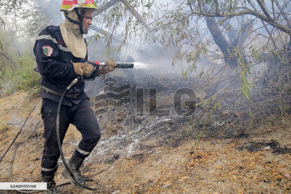 ALGERIA-BOUIRA-WILDFIRES-DEATH TOLL
