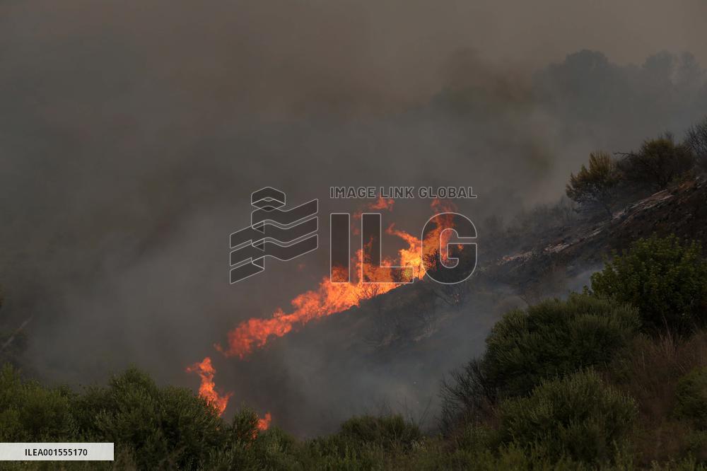 ALGERIA-BOUIRA-WILDFIRES-DEATH TOLL