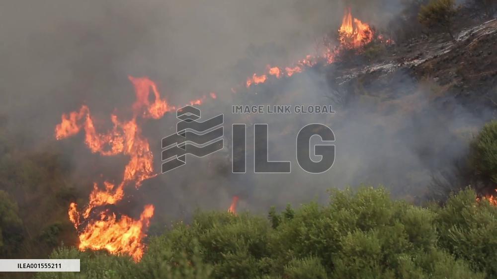 Death toll from Algeria's wildfires rises to 34