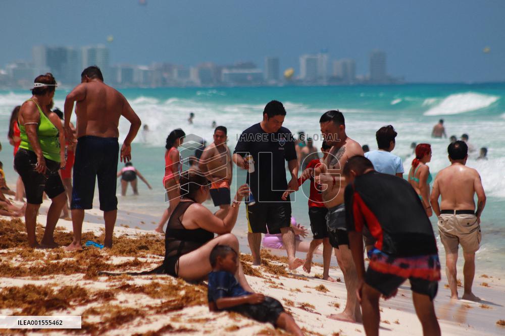 Cancun Continues Its Battle Against Sargassum - Mexico