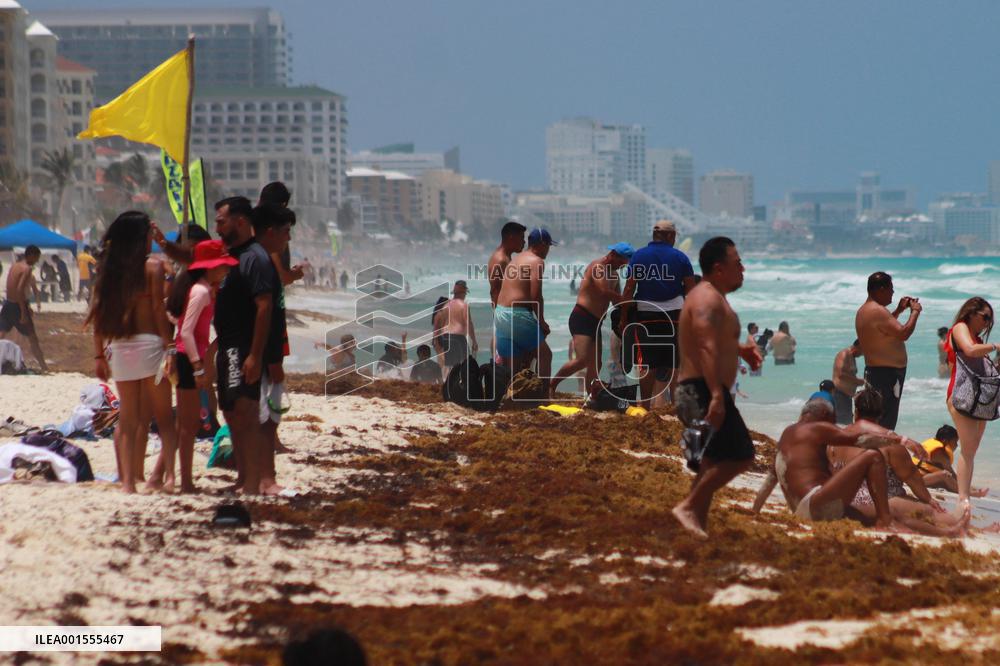 Cancun Continues Its Battle Against Sargassum - Mexico