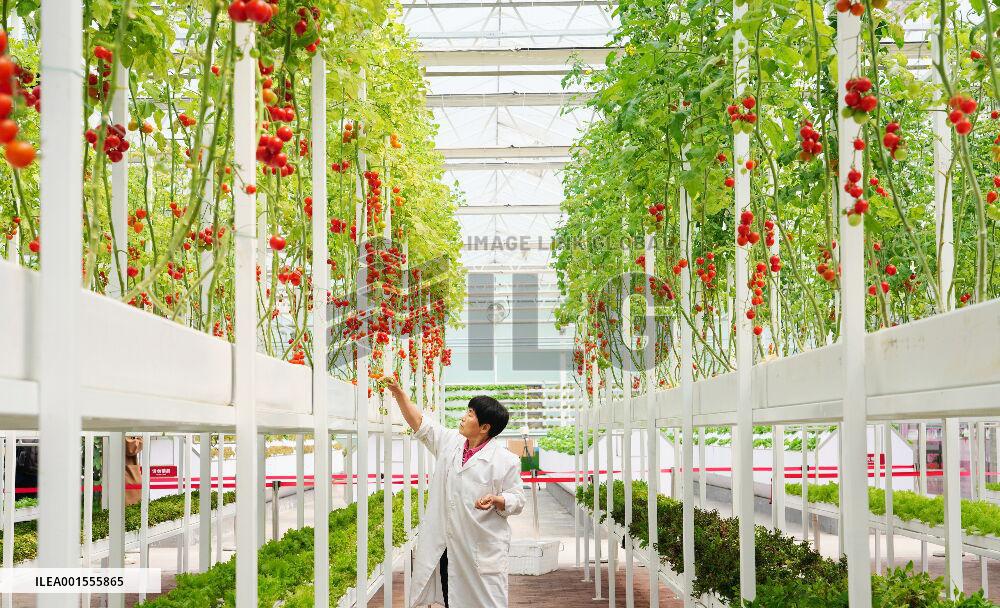 CHINA-HEBEI-RURAL DEVELOPMENT (CN)