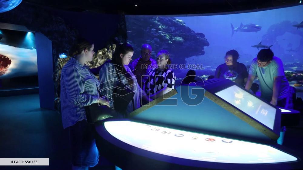 Exhibition on sharks held in Texas, U.S.