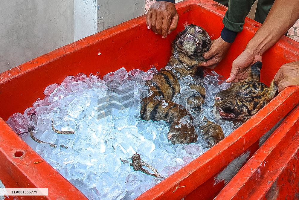 Indonesia In Pictures