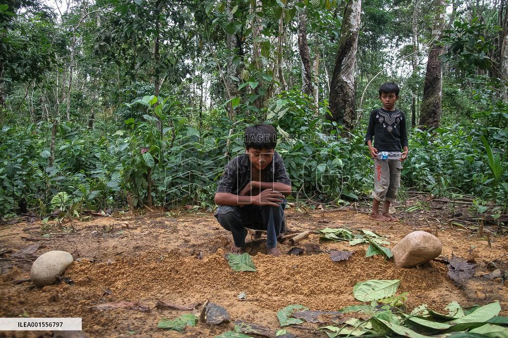 Indonesia In Pictures