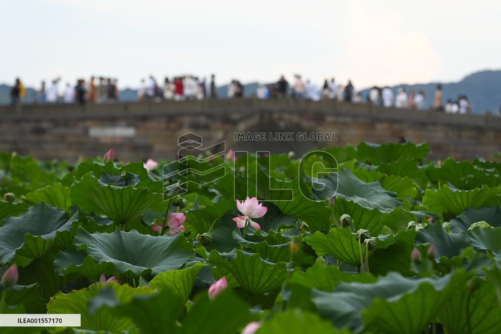 (ZhejiangPictorial)CHINA-ZHEJIANG-HANGZHOU-WEST LAKE-TOURISM (CN)