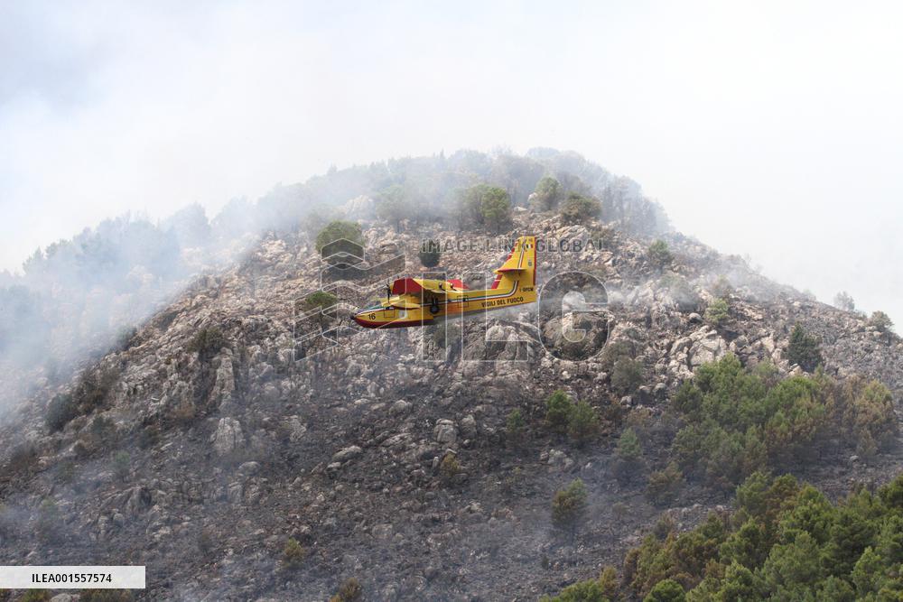 Wildfires Around Palermo
